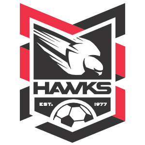 Holland Park Hawks FC