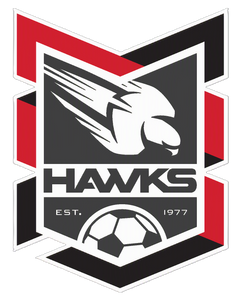 Holland Park Hawks Football Club